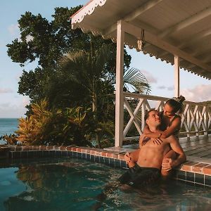 Private Ocean View Cottage Plunge Pool King bed